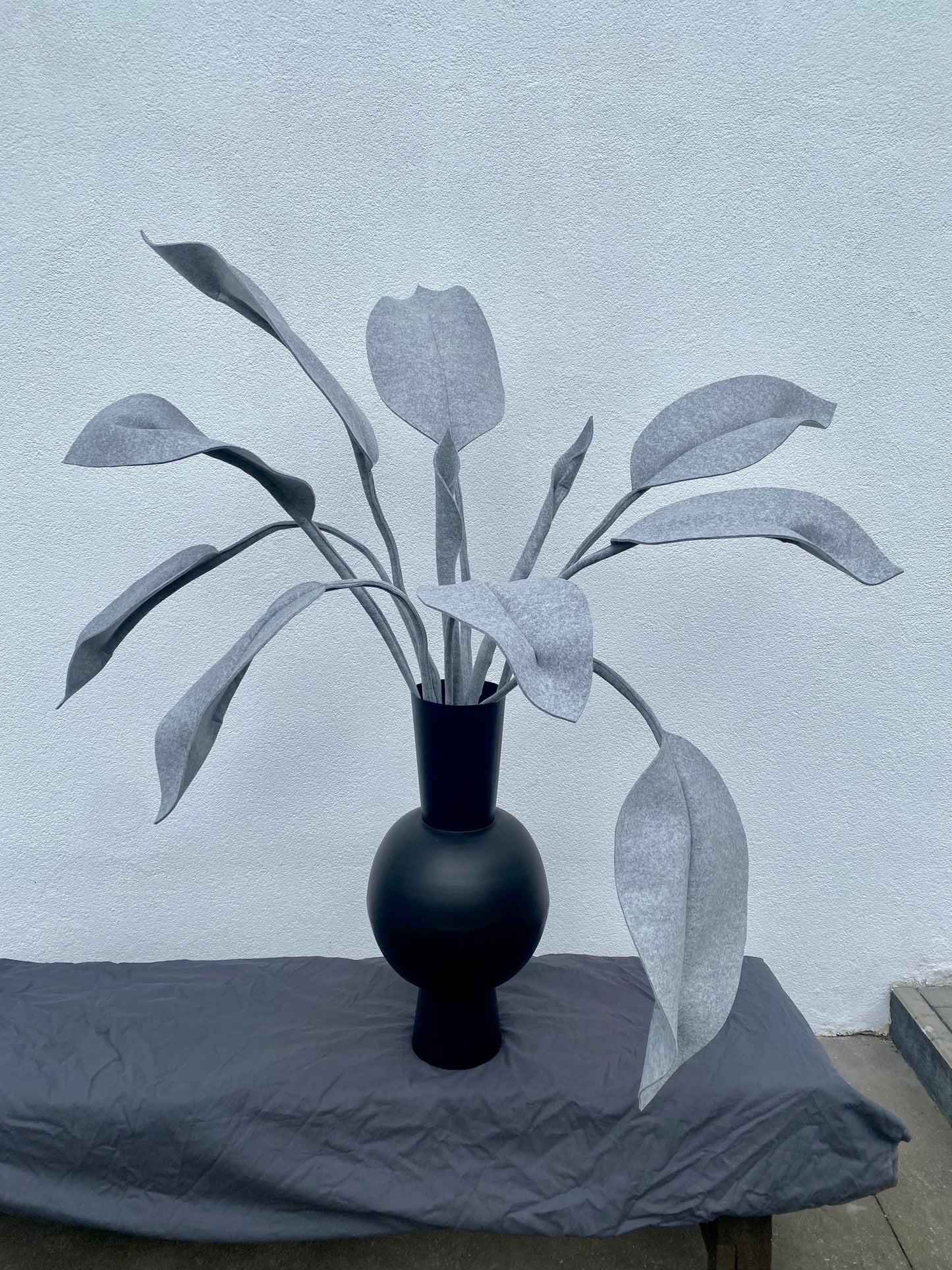 Inspiration Strelitzia