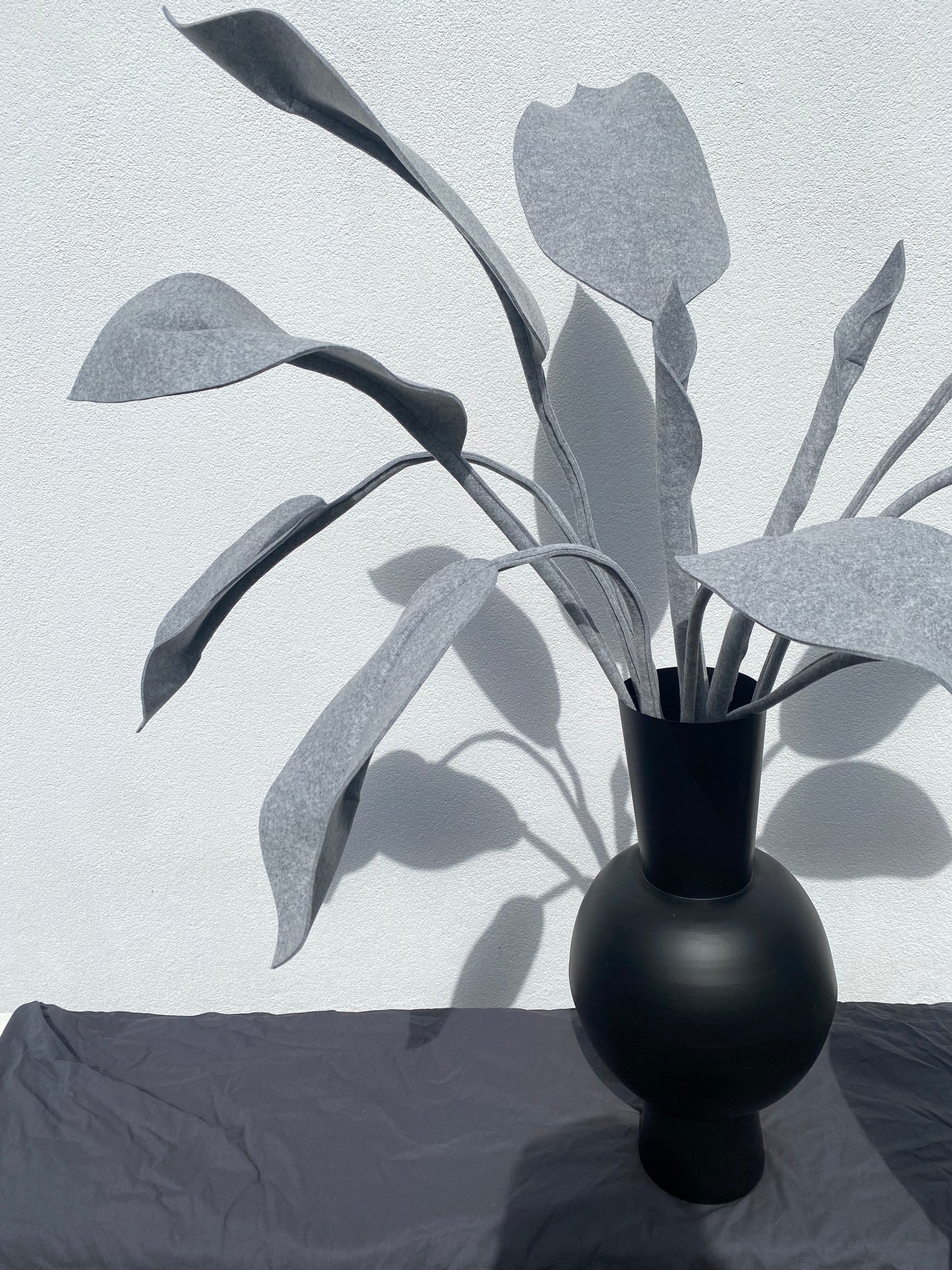Inspiration Strelitzia