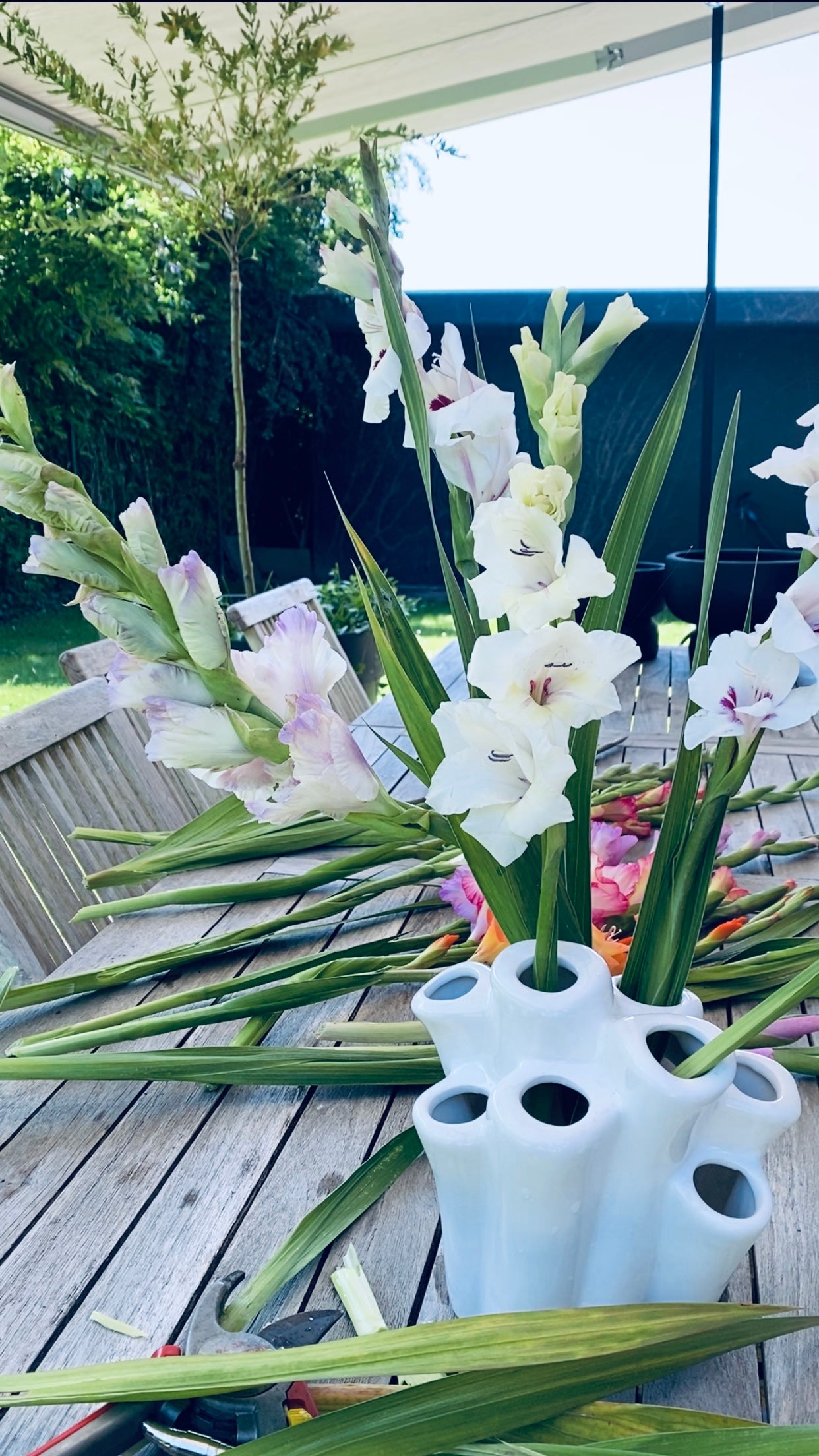 Vase Coral Tube