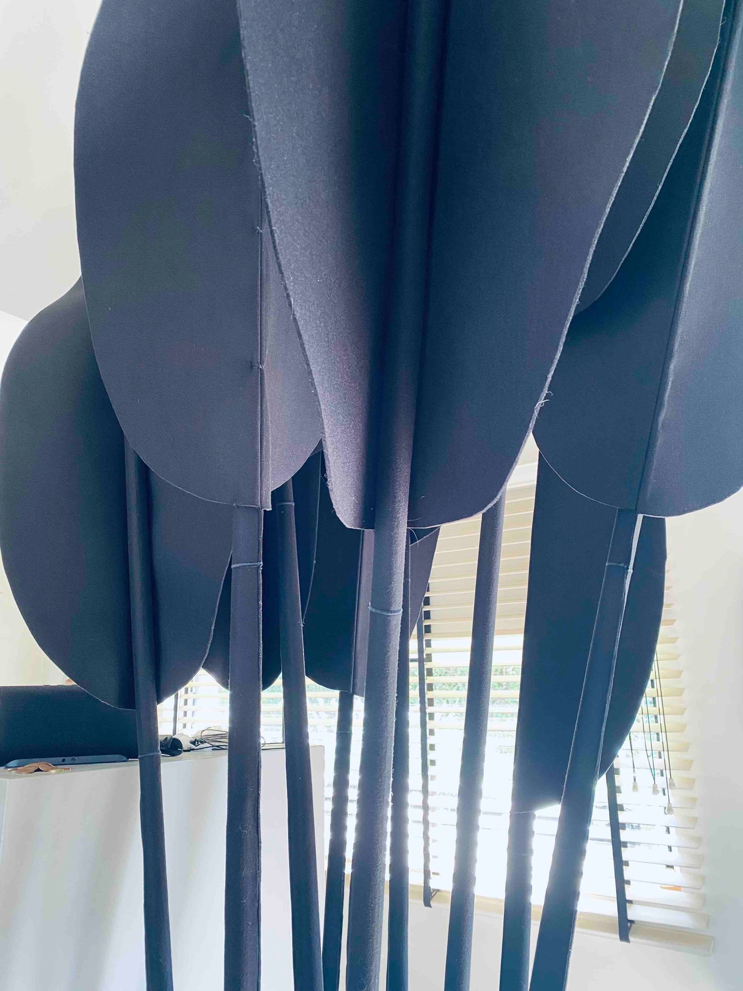 Inspiration Strelitzia