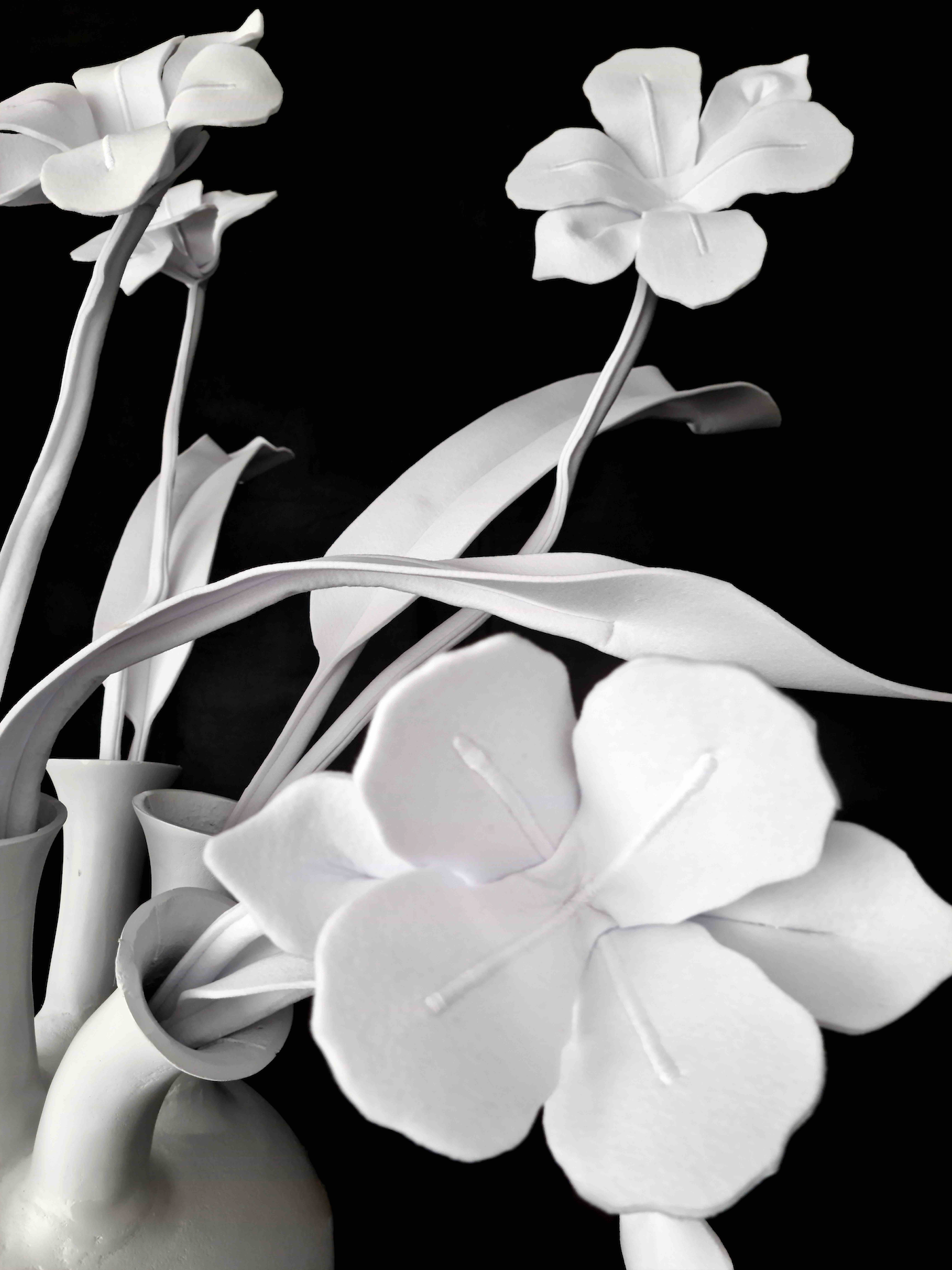De la fleur à la tulipe