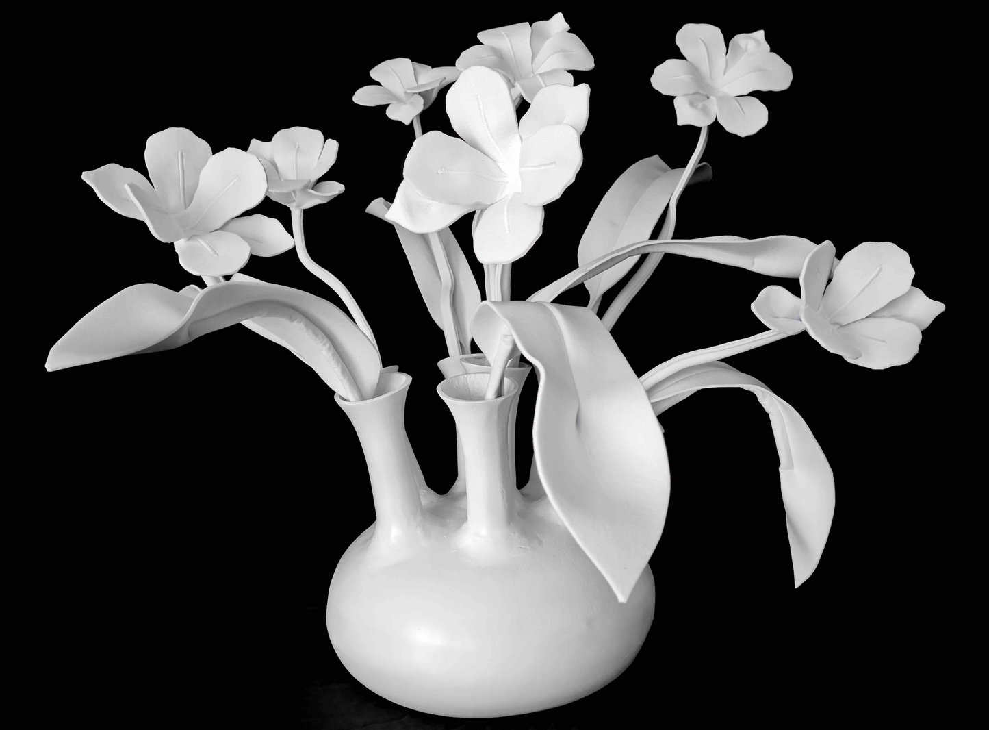 De la fleur à la tulipe