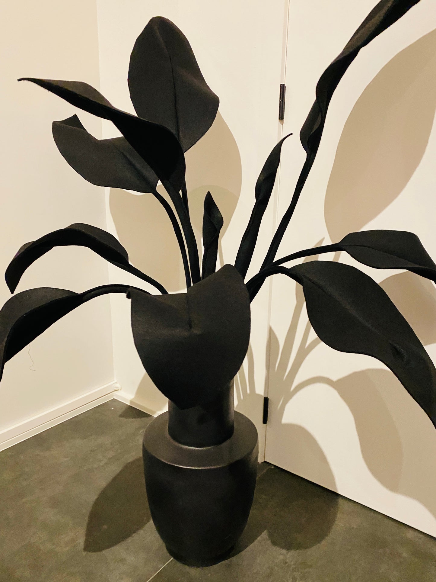 Inspiration Strelitzia