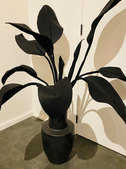 Inspiration Strelitzia